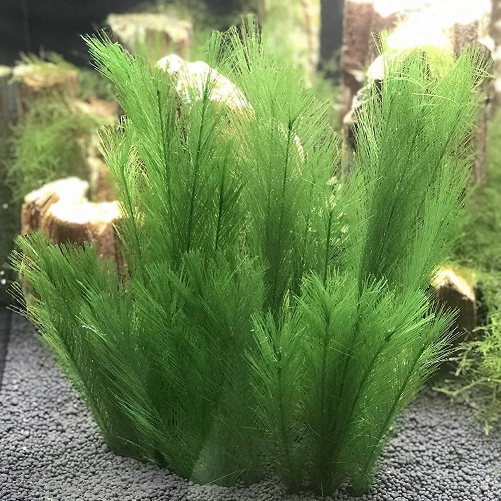 Aquarium Plants Live - 1/3 шт. 28/40 см аквариум искусственная
