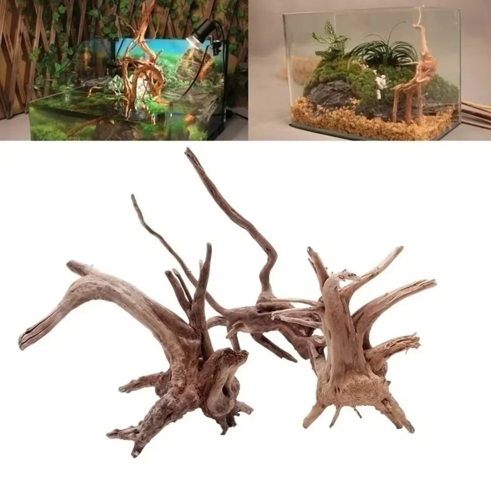 Aquarium Moss - Декор для аквариума из натурального коряги
