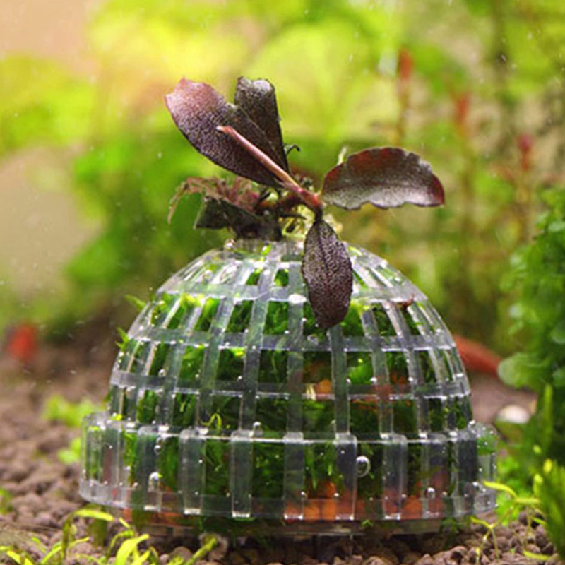 Live Plant Aquarium - 1 шт. Аквариумные принадлежности для животных,
