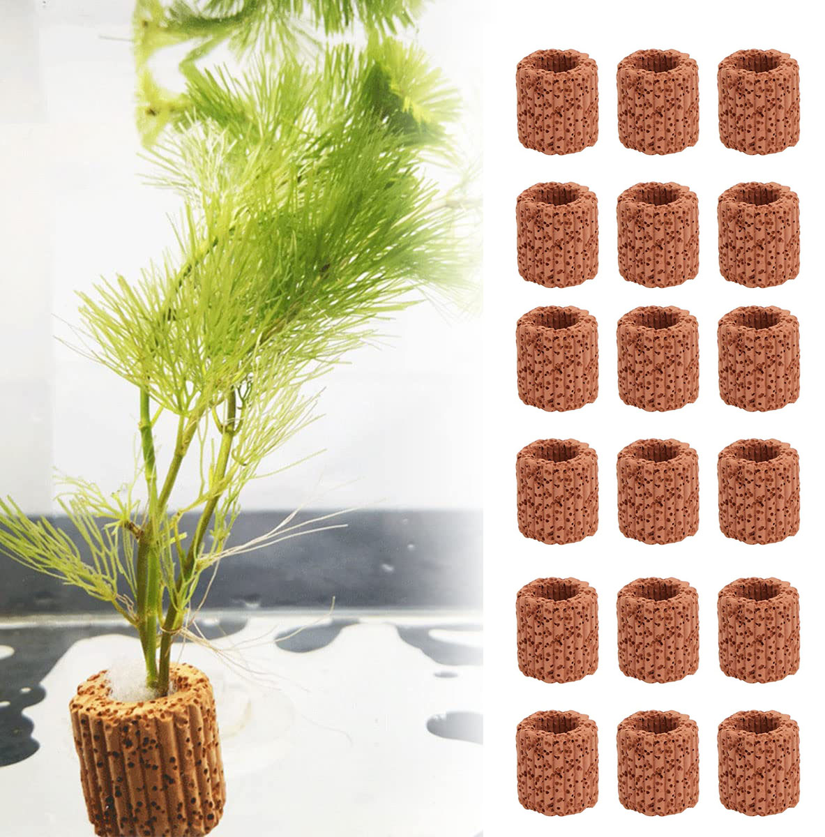 Aquarium Plants Live - 10/20 шт. фиксированное кольцо для водных