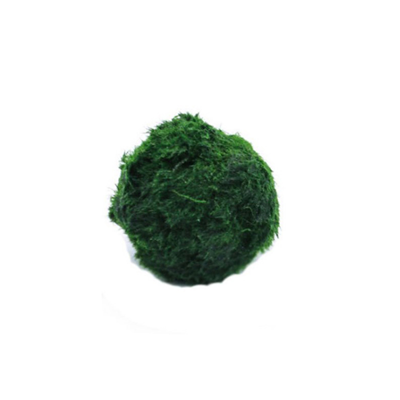 Aquarium Plants Live - Шарики из мха Marimo, живое аквариумное
