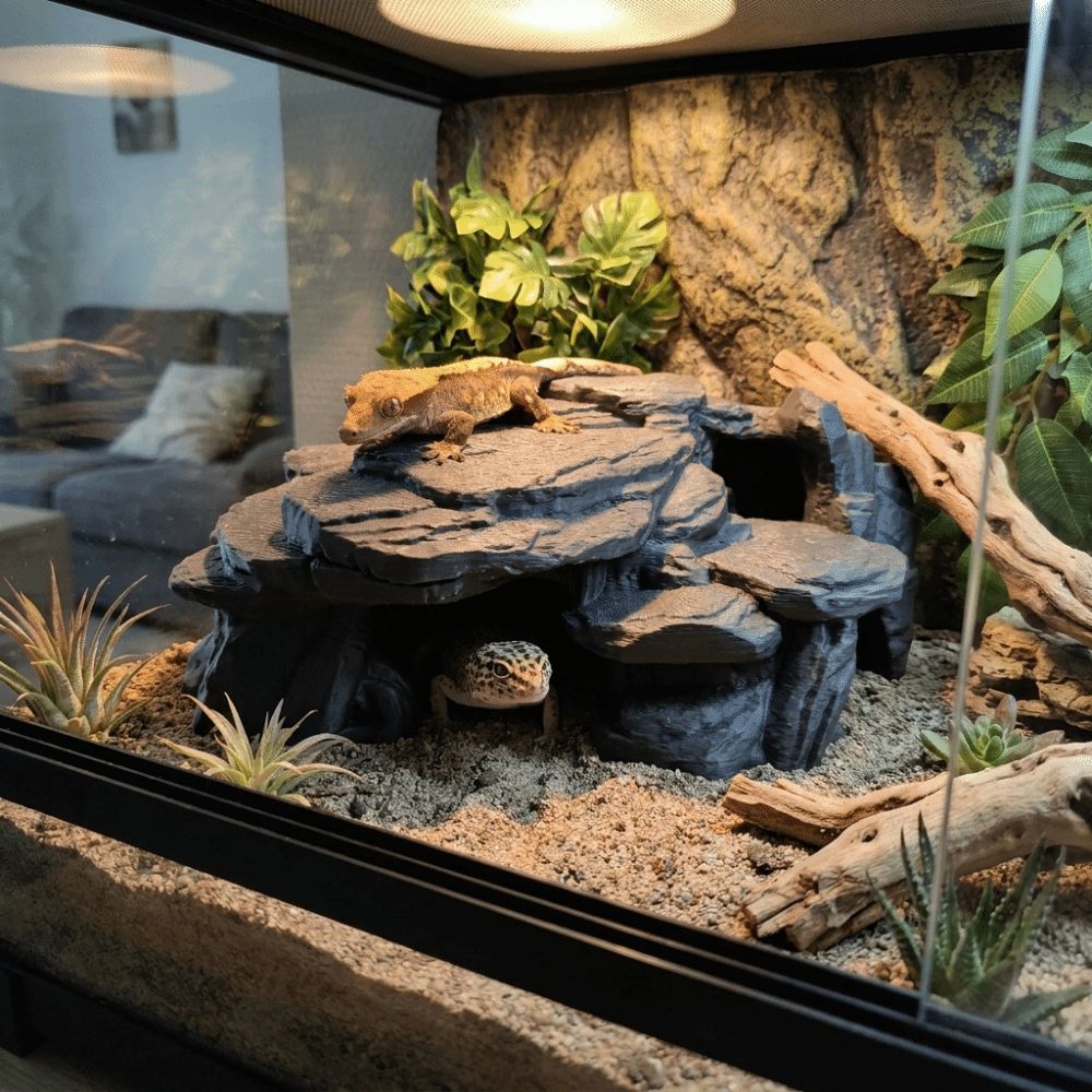 3D-печатные декорации для аква – обзор и цена Aquarium Driftwood
