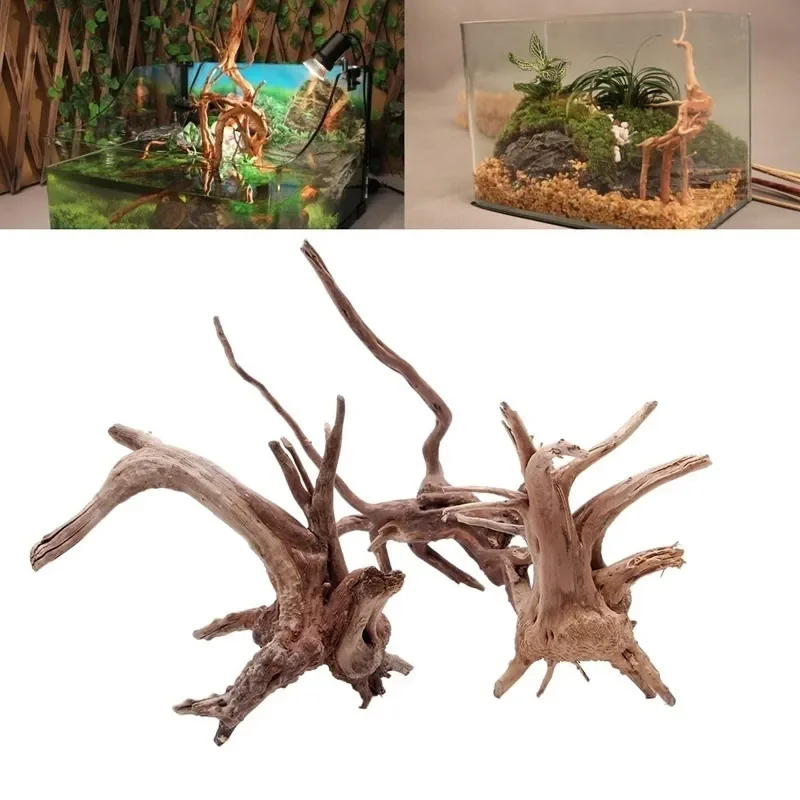 Натуральный ствол дерева Drift – обзор и цена Aquarium Moss