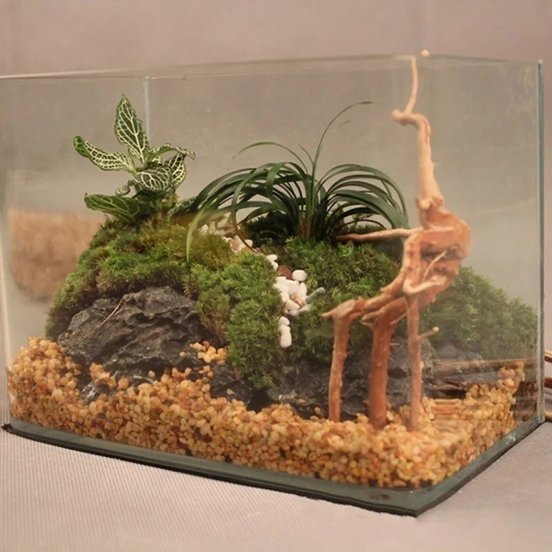 Натуральный ствол дерева Drift – обзор и цена Aquarium Moss
