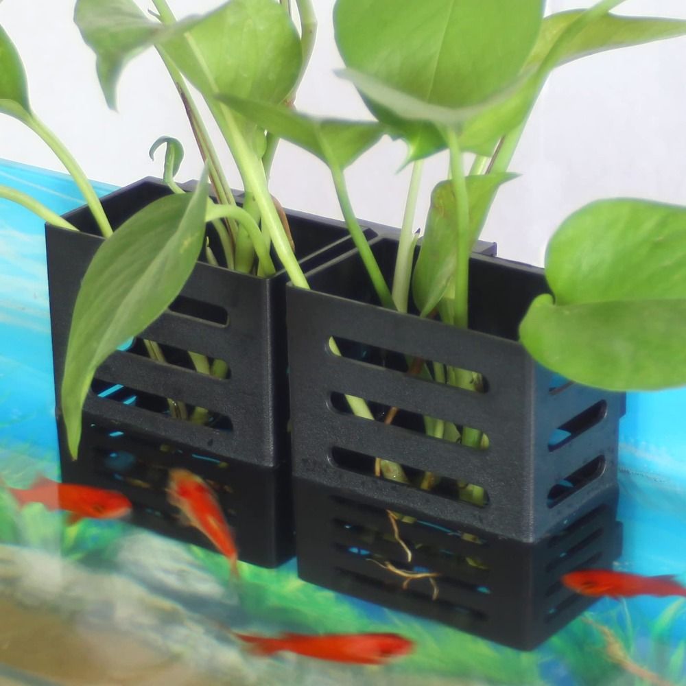 Держатель для аквариумных раст – обзор и цена Aquarium Plant Holder