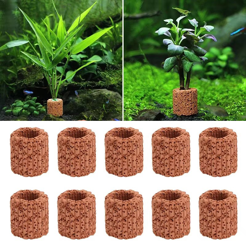 Фиксированное кольцо для водны – обзор и цена Plant Aquarium Pot