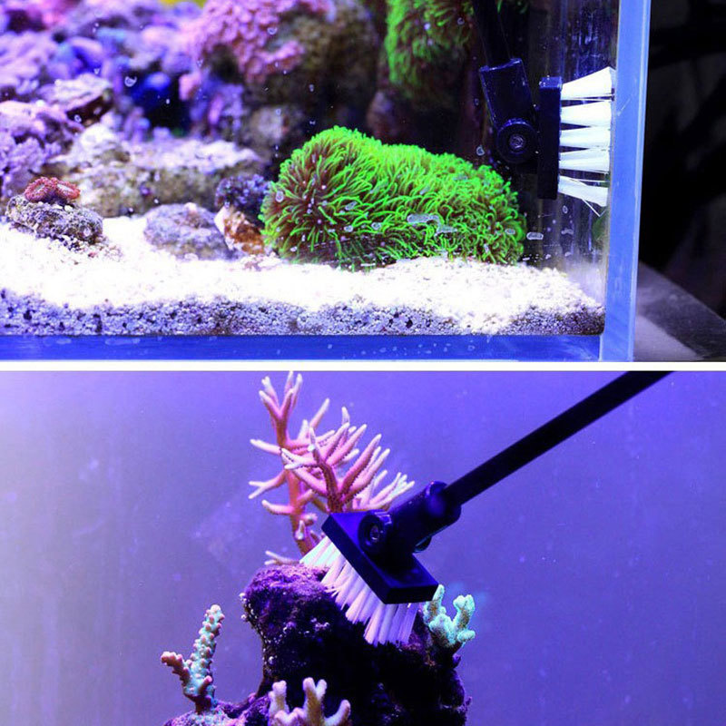 Щетка для чистки рыбалки, резе – обзор и цена Planted Aquarium Cleaning
