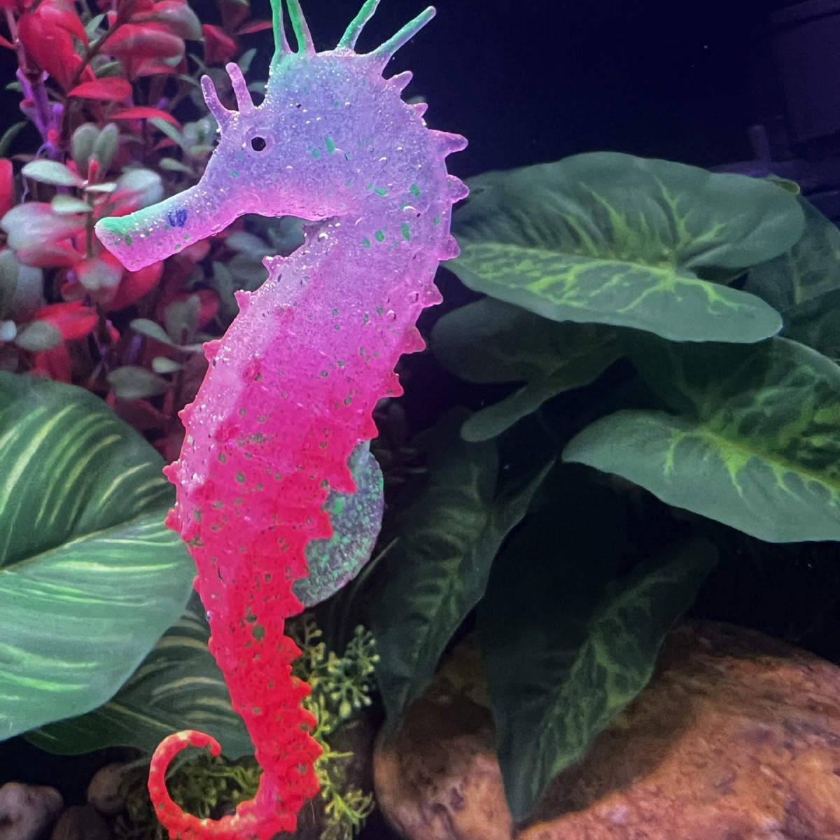Имитация светящегося морского  – обзор и цена Aquarium Plant Substrate