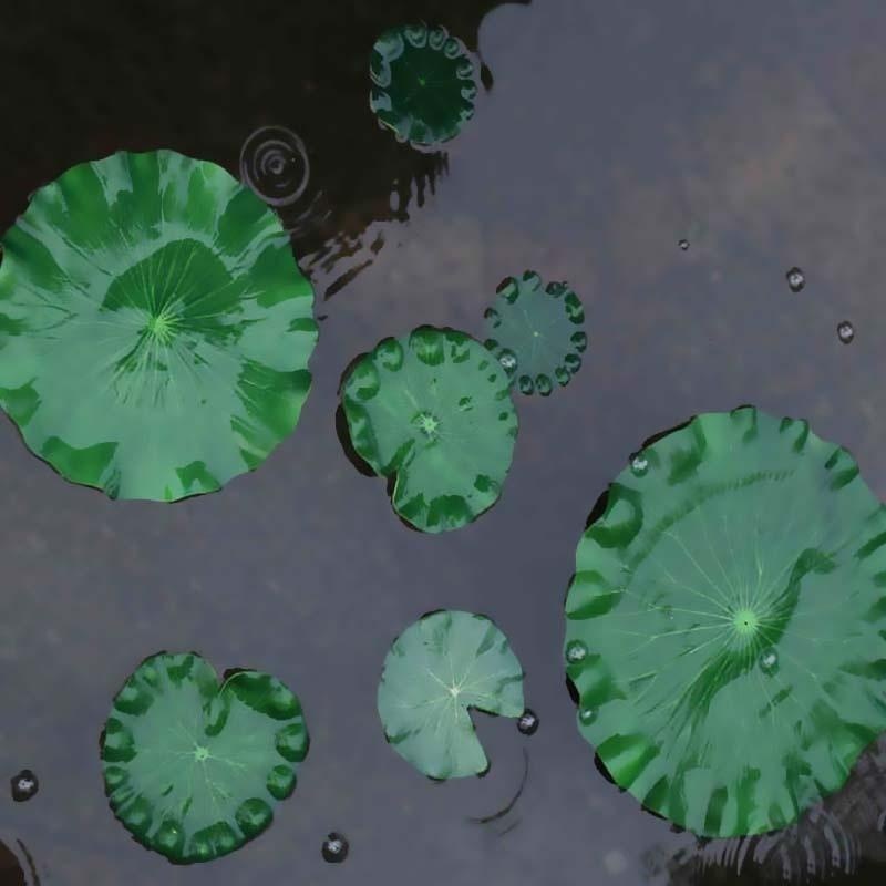 Искусственные листья лотоса 20 – обзор и цена Aquarium Moss