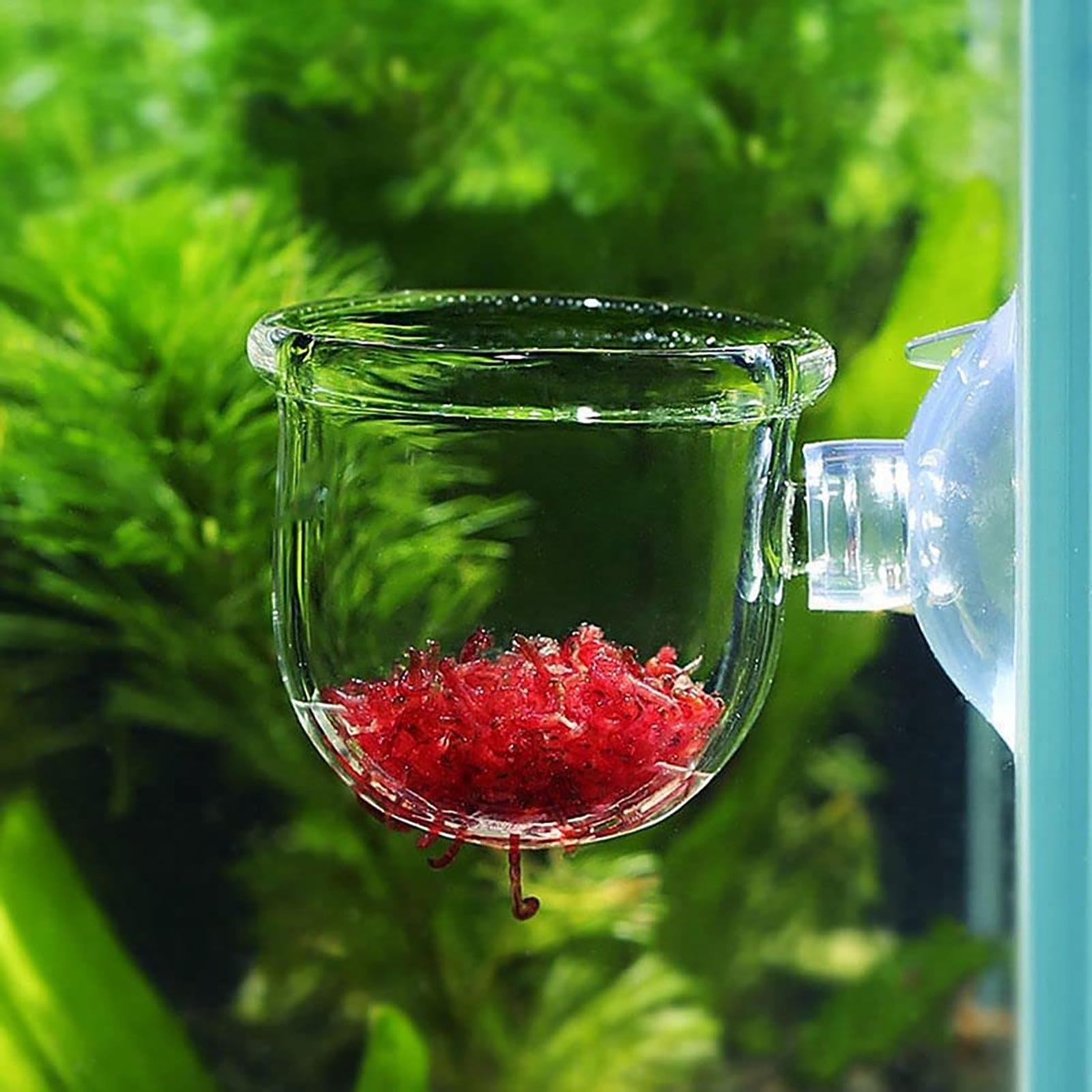Декоративная чаша для растений – обзор и цена Plant Aquarium Pot