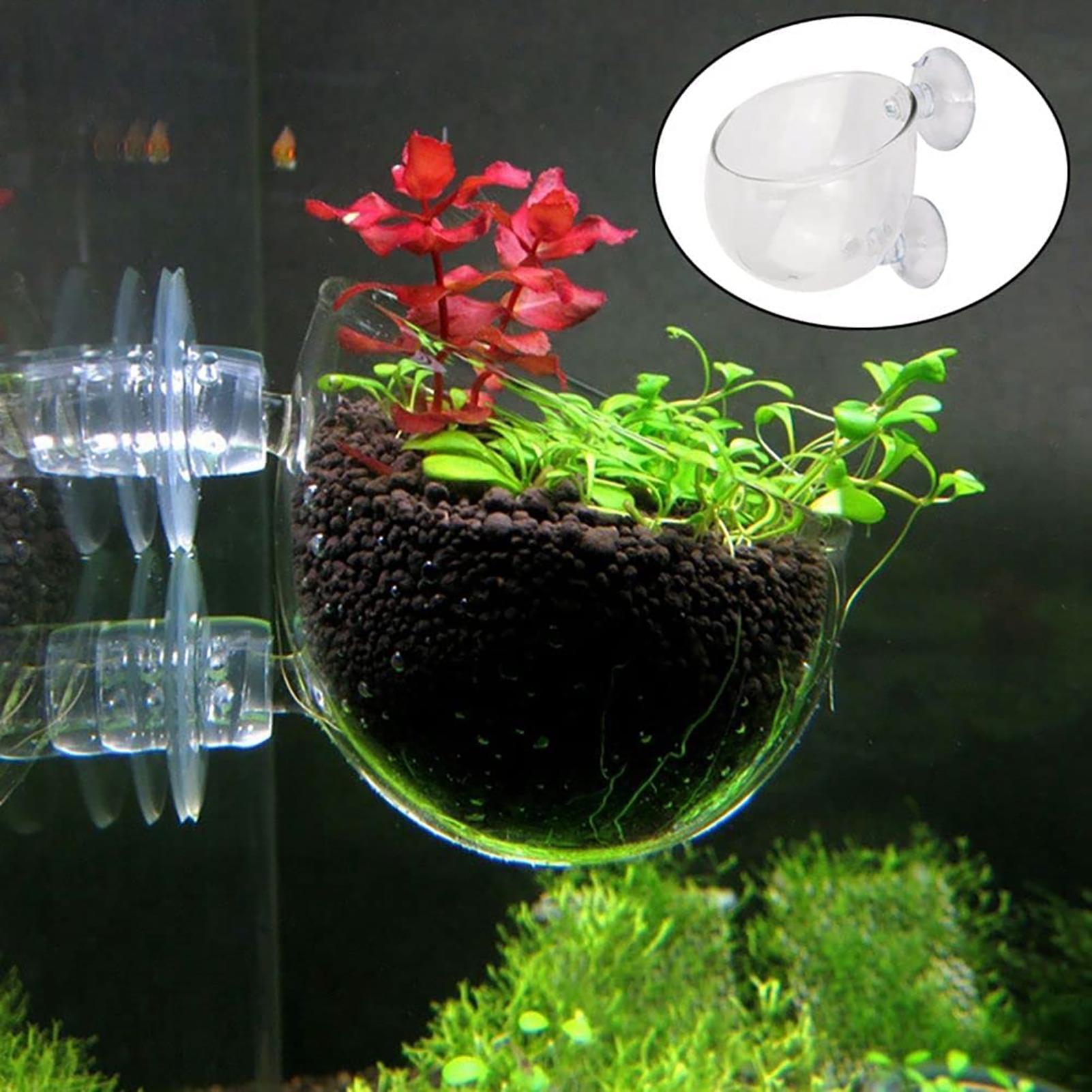 Декоративная чаша для растений – обзор и цена Plant Aquarium Pot
