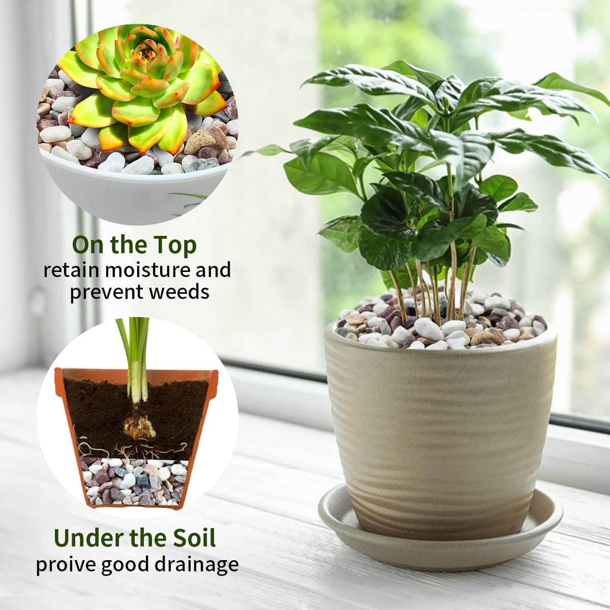 Разноцветный гравий, декоратив – обзор и цена Plant Aquarium Pot
