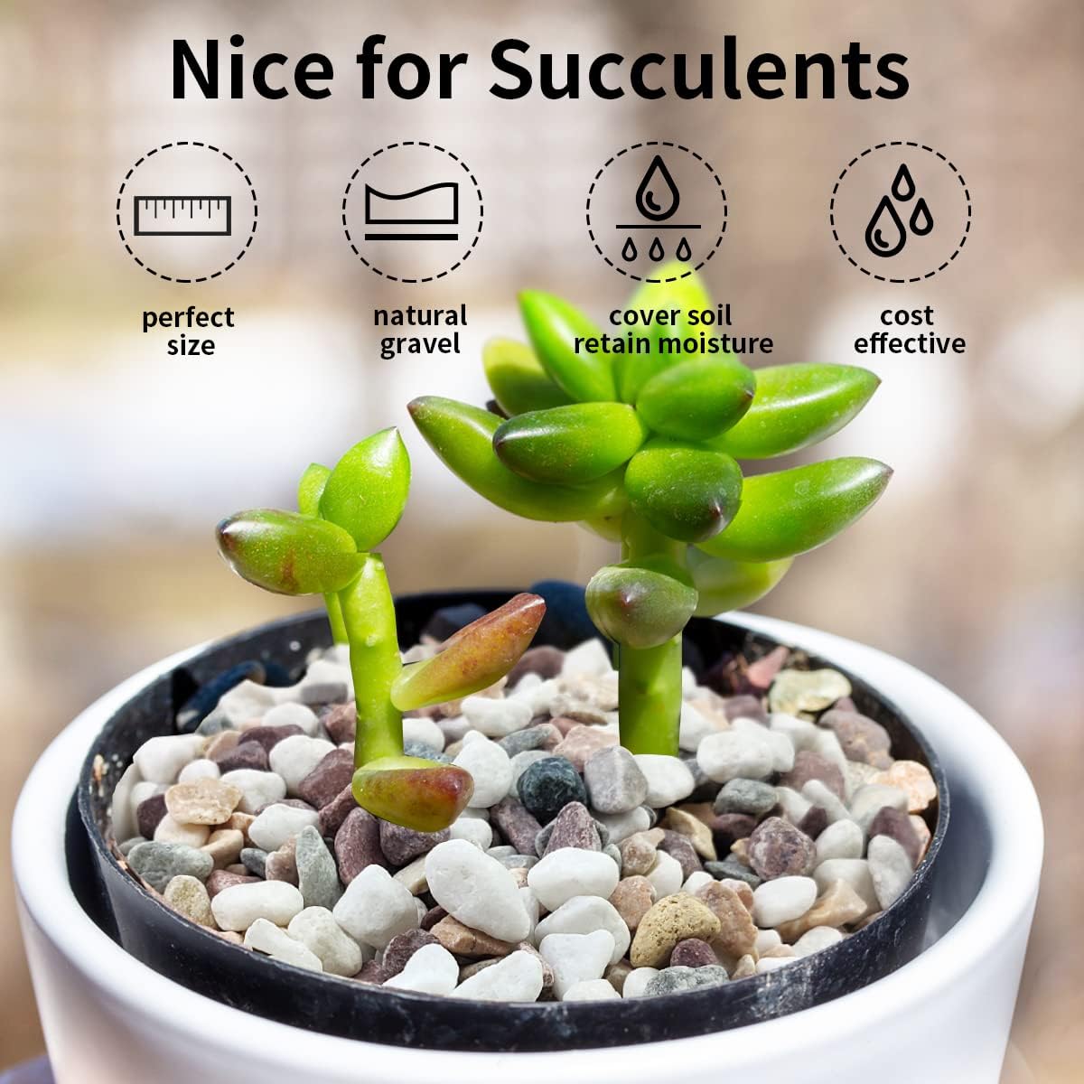 Разноцветный гравий, декоратив – обзор и цена Plant Aquarium Pot