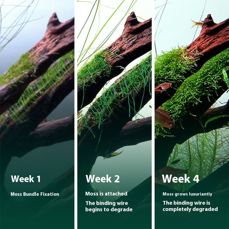 200 м естественно разлагаемая  – обзор и цена Aquarium Moss