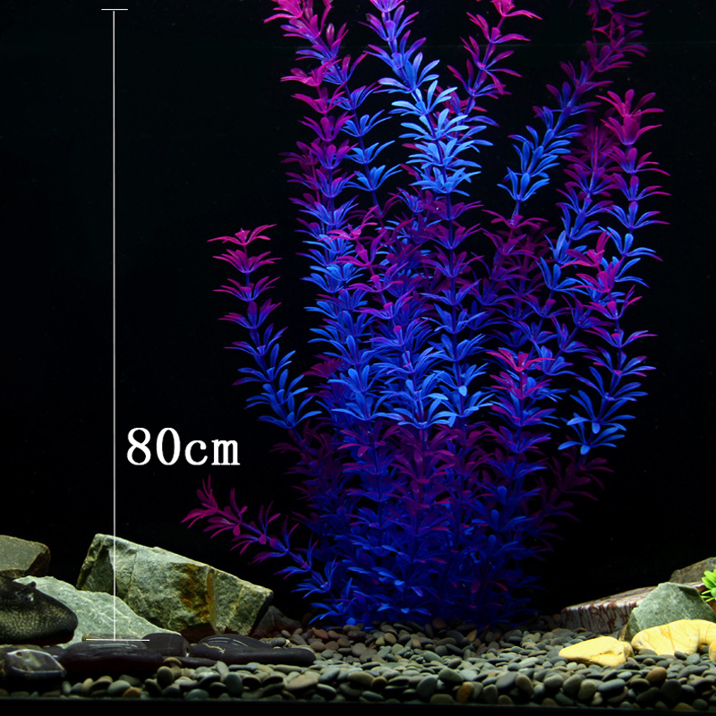 100 см Тропические растения, б – обзор и цена Aquarium Moss