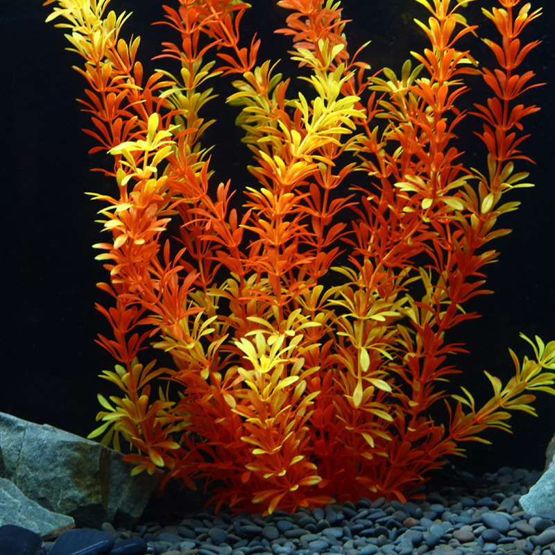 100 см Тропические растения, б – обзор и цена Aquarium Moss