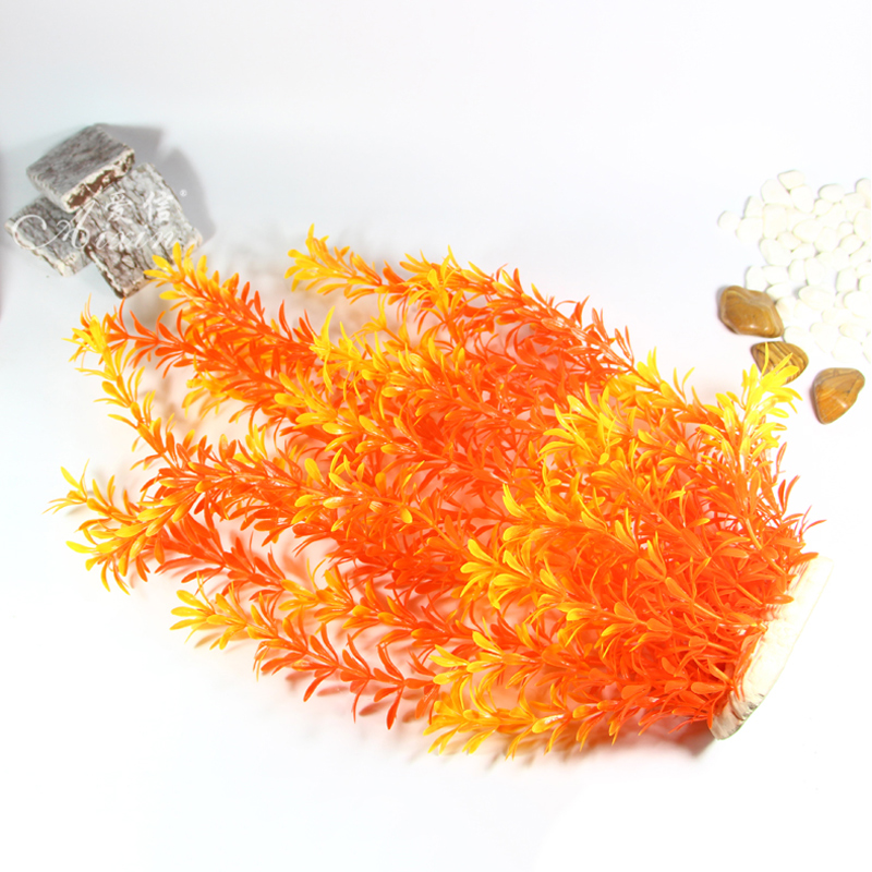 100 см Тропические растения, б – обзор и цена Aquarium Moss