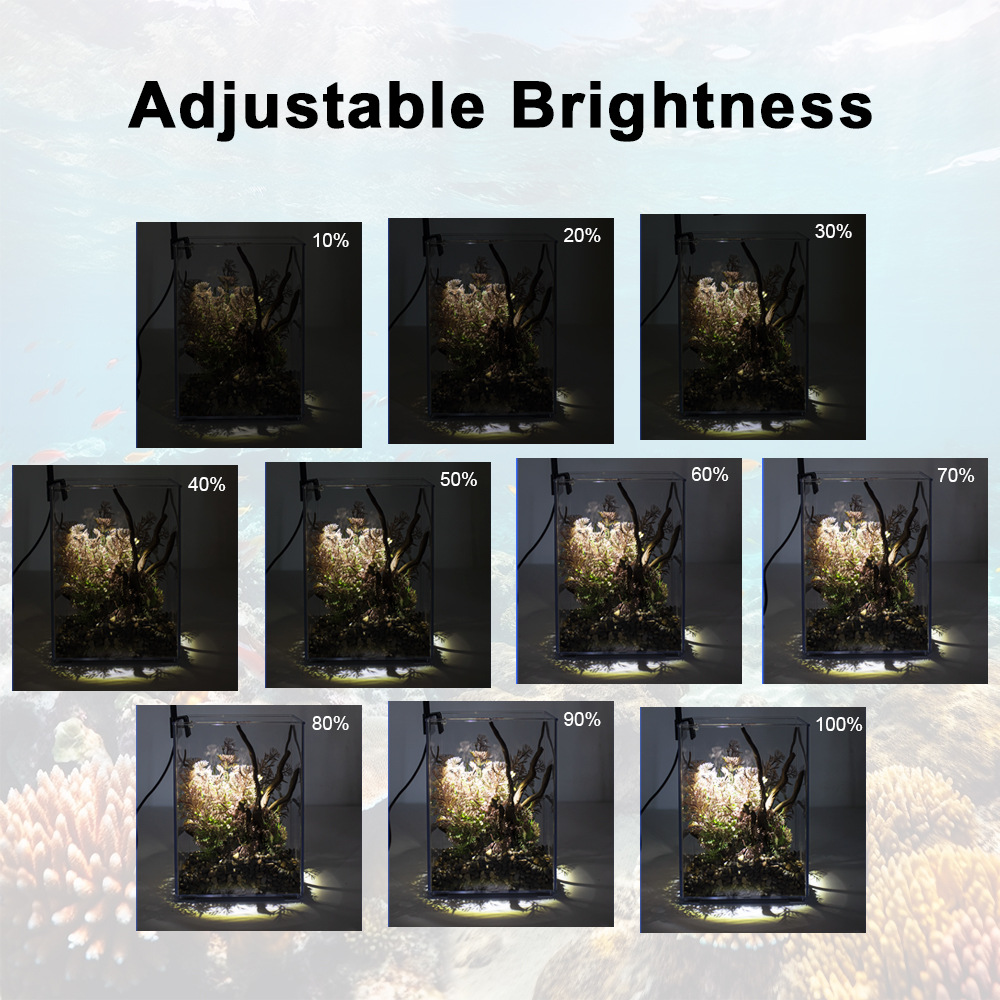 Светодиодный светильник-прищеп – обзор и цена Aquarium Plant Light