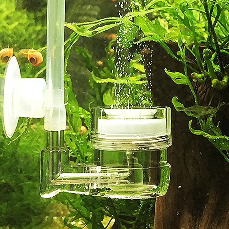 Аквариум 4 в 1, диффузор CO2,  – обзор и цена Live Plant Aquarium