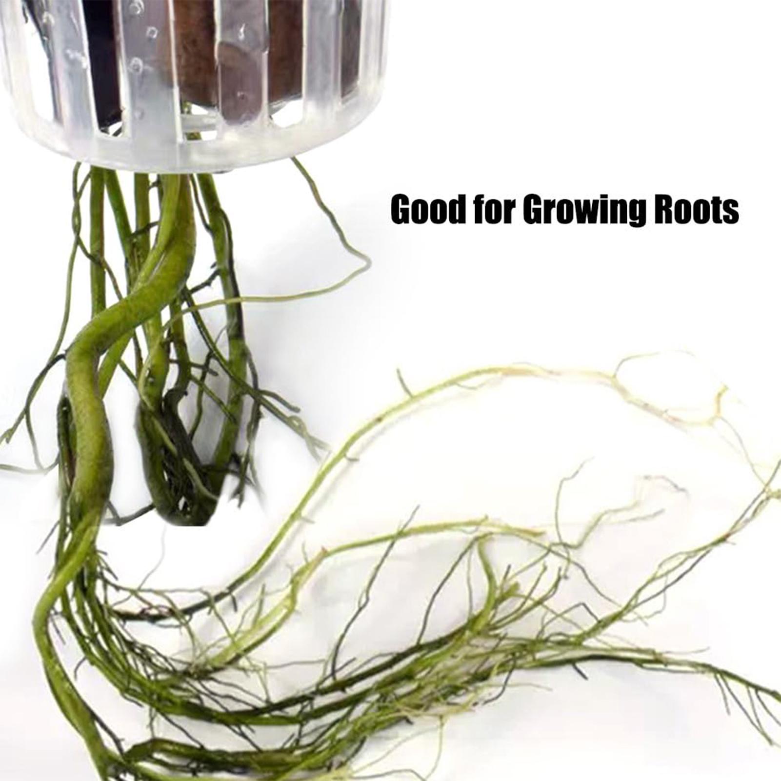 2 шт. подвесных держателя для  – обзор и цена Plant Aquarium Pot