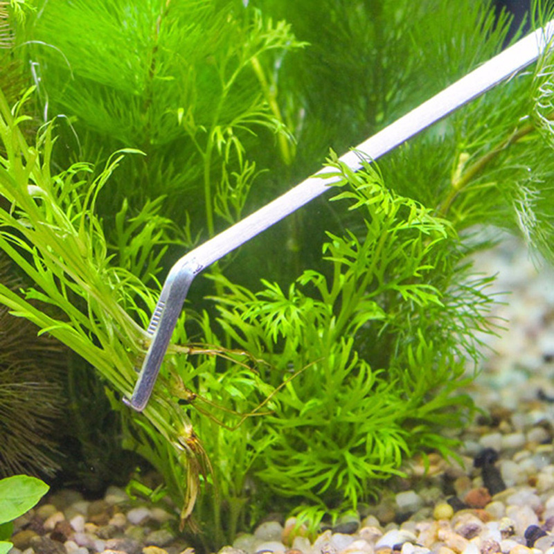 Профессиональный набор инструм – обзор и цена Live Plant Aquarium