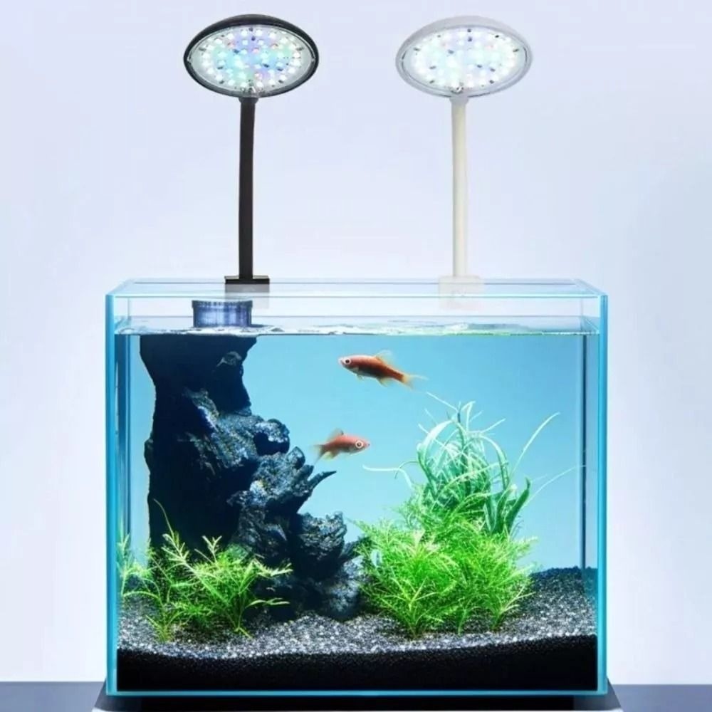 Новинка, мини-Рыбка, фотолампа – обзор и цена Live Plant Aquarium