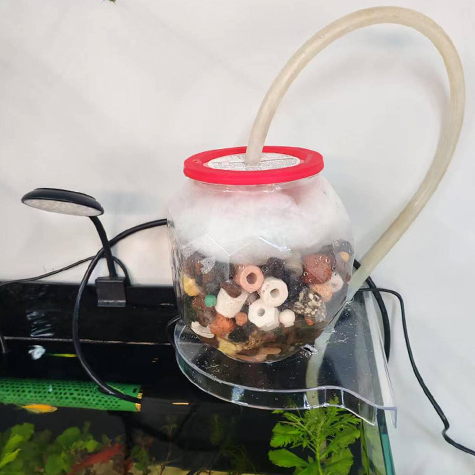 Треугольная угловая полка для  – обзор и цена Aquarium Plants Live