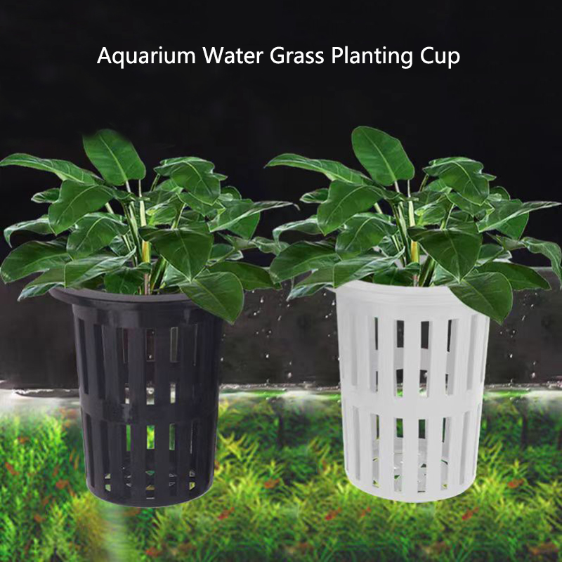 1/3 шт. корзина для аквариумны – обзор и цена Aquarium Plants Live