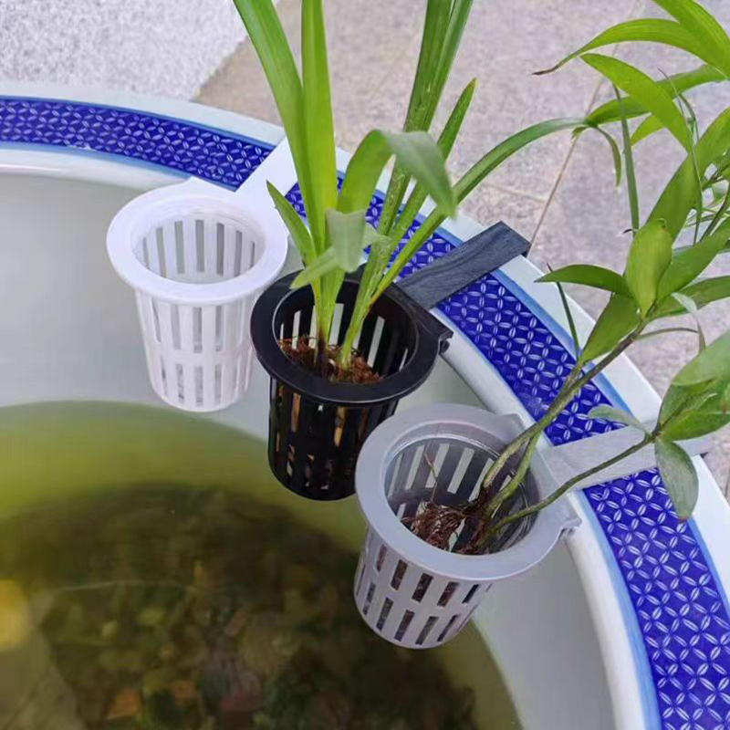 1/3 шт. корзина для аквариумны – обзор и цена Aquarium Plants Live