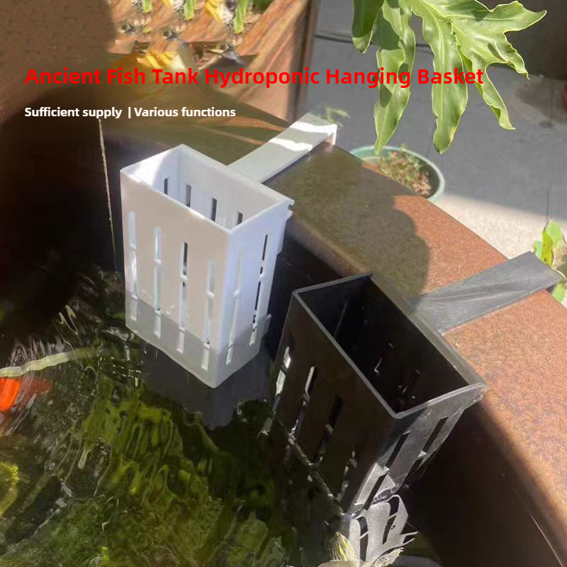 1/3 шт. корзина для аквариумны – обзор и цена Aquarium Plants Live