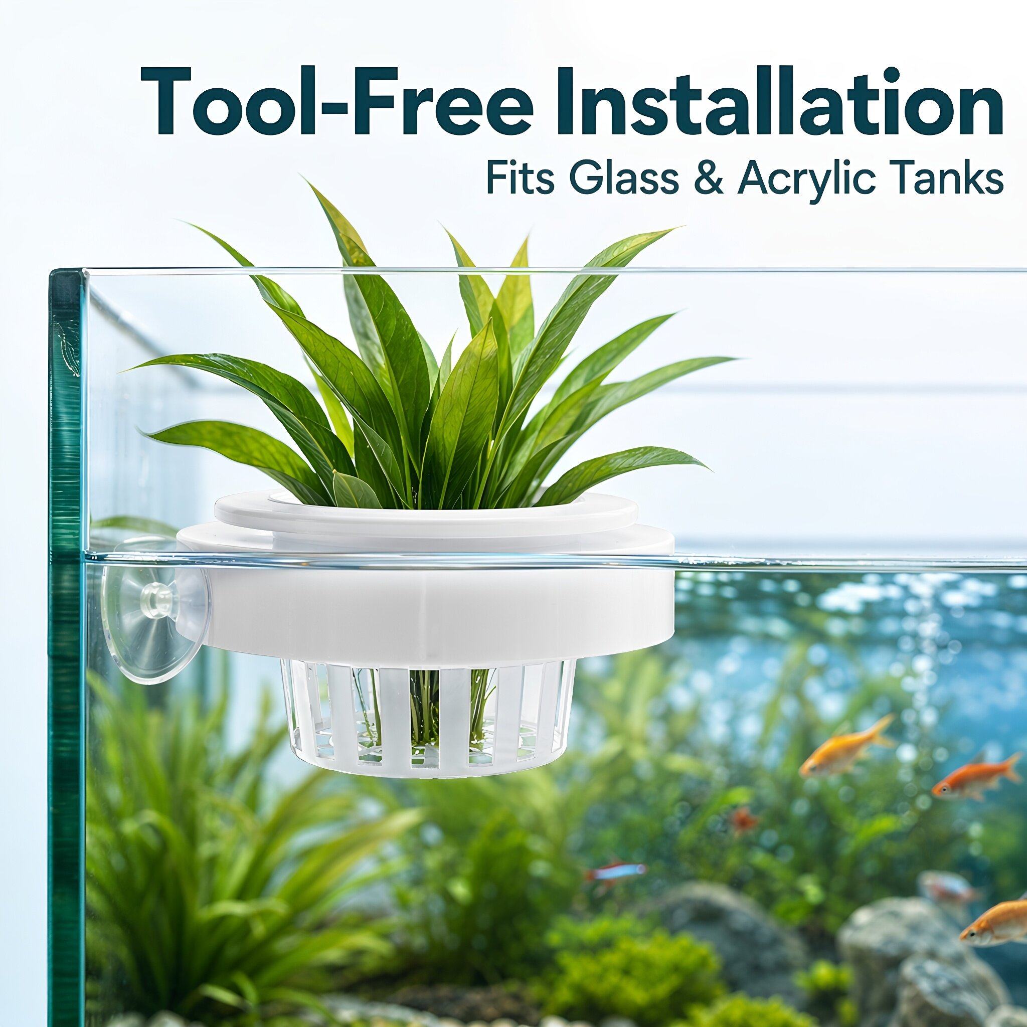 4 шт. плавающих корзин для акв – обзор и цена Planted Tank