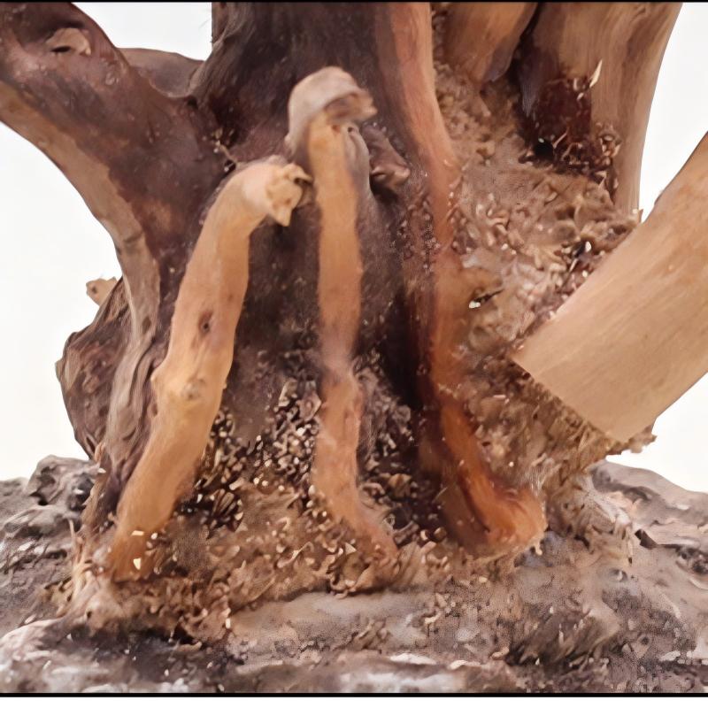 1 шт. аквариум, ландшафтные де – обзор и цена Aquarium Driftwood
