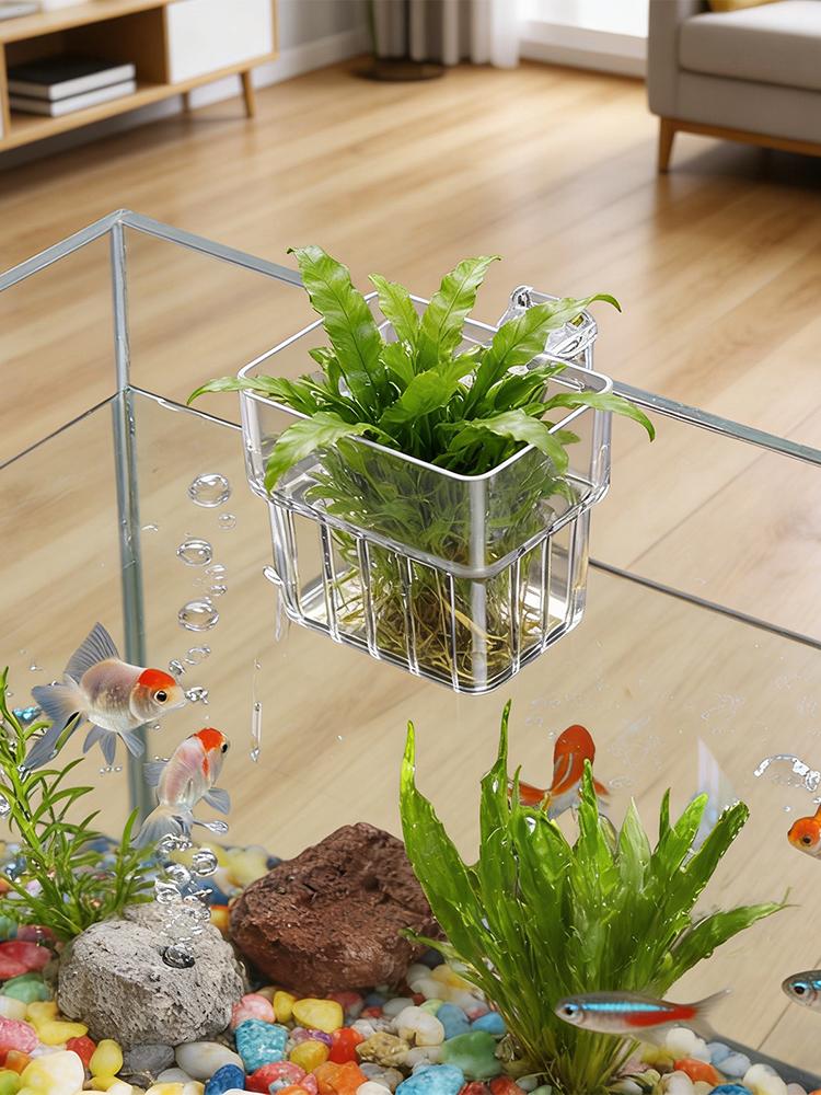 Прозрачный держатель для аквар – обзор и цена Plant Aquarium Pot