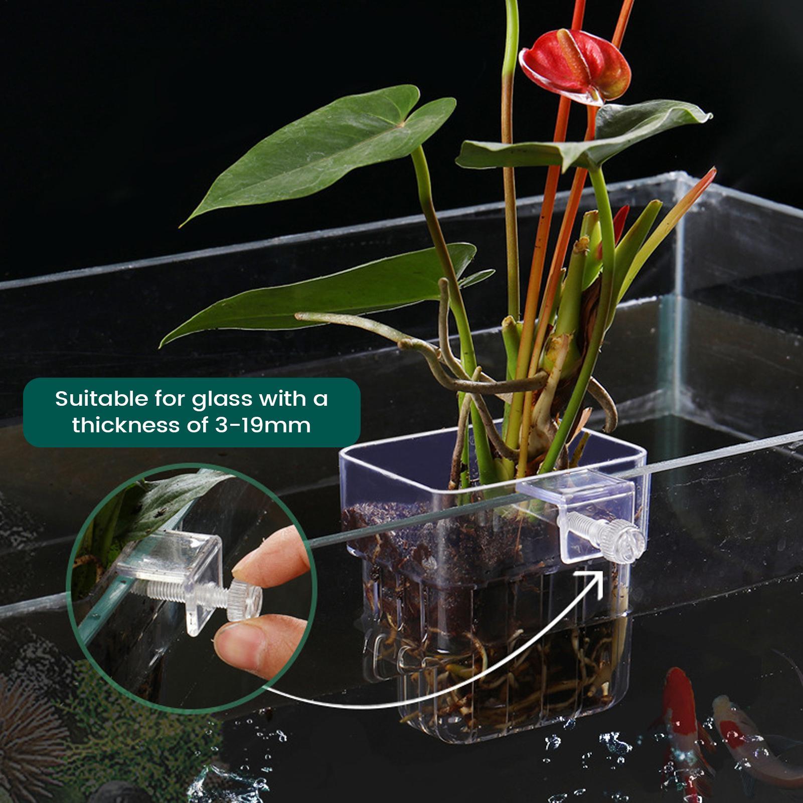 Прозрачный держатель для аквар – обзор и цена Plant Aquarium Pot