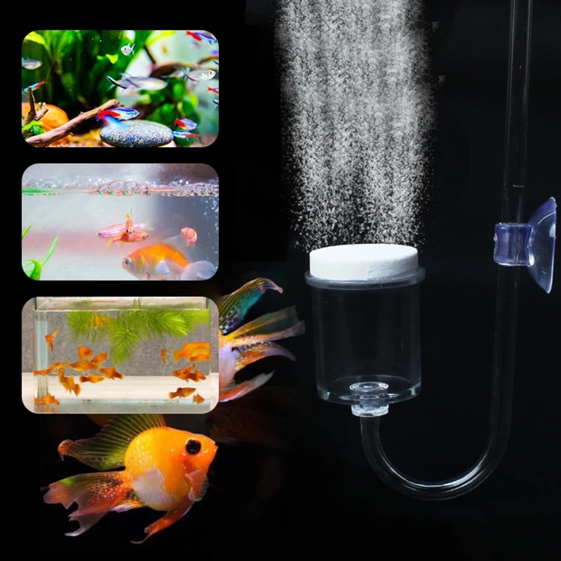 4 шт./набор, соленоидный регул – обзор и цена Aquarium Moss