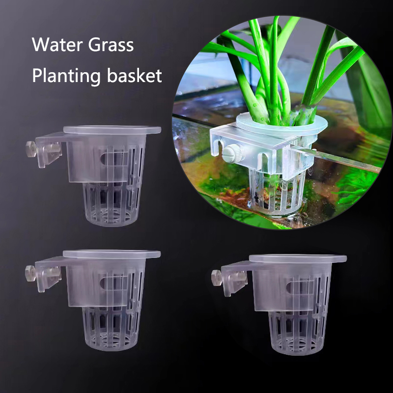Корзина для посадки аквариума, – обзор и цена Aquarium Plants Live